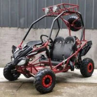DongFang 125cc Kids Go Karts Type-GTS