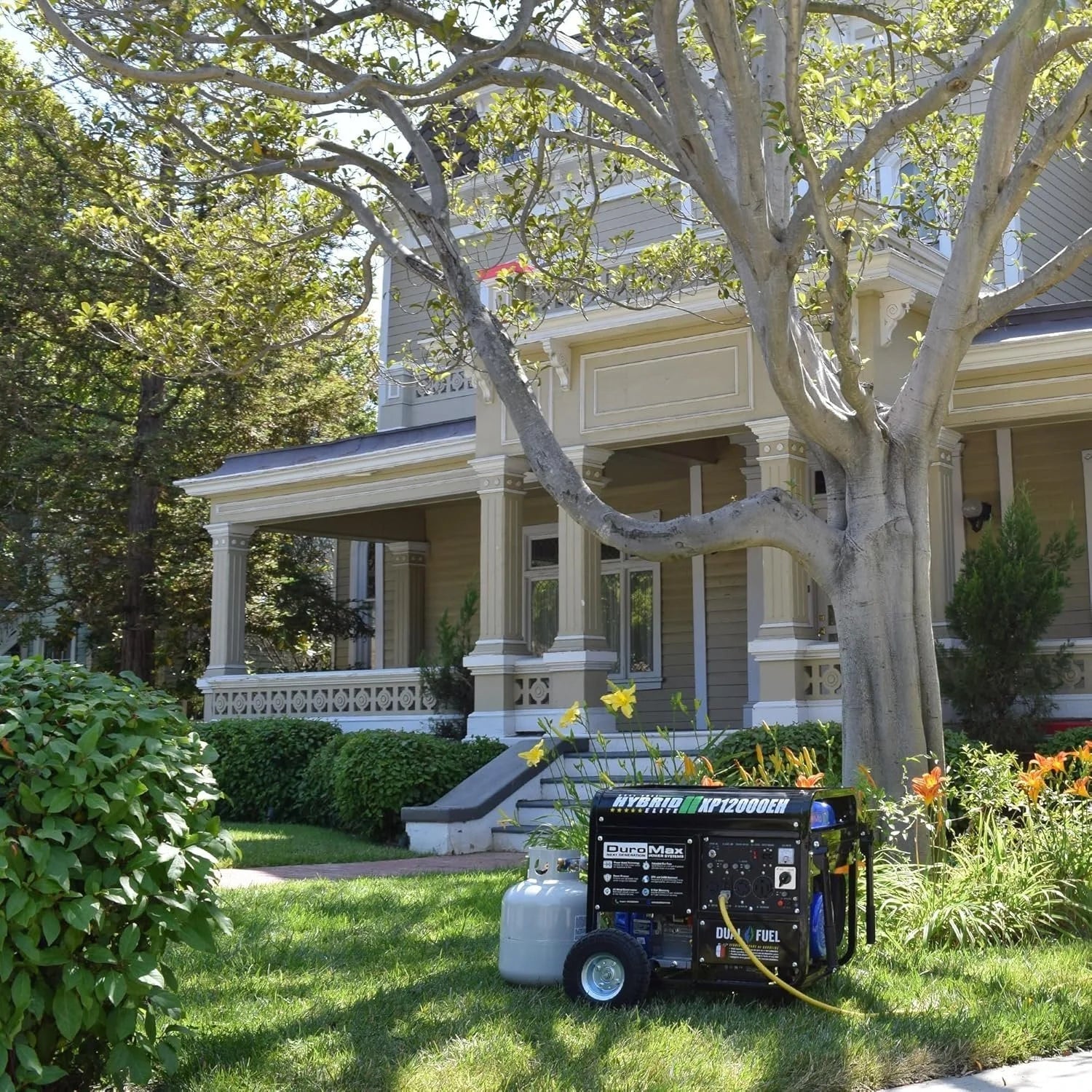DuroMax XP12000EH 12,000 Watt Dual Fuel Portable Generators.