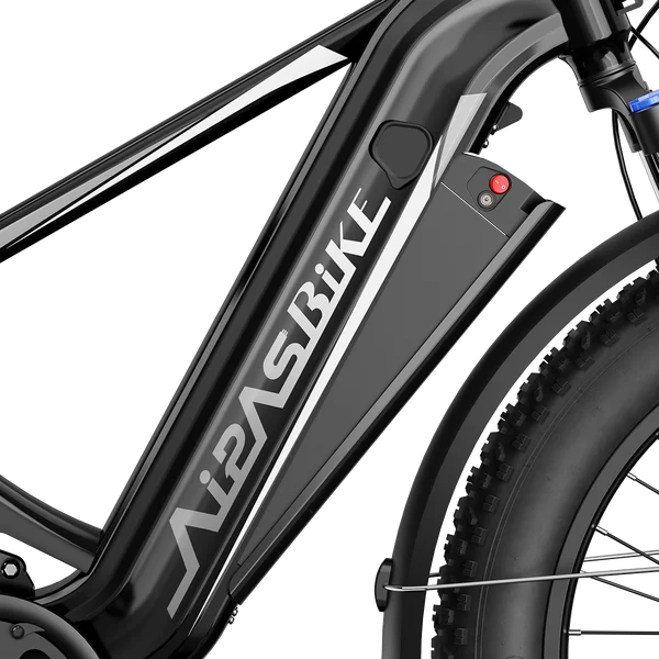 Aipas M2 Xterrain Ebike Aipas-M2-black Baskets.