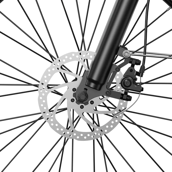 Aipas M2 Xterrain Ebike Aipas-M2-black Baskets.