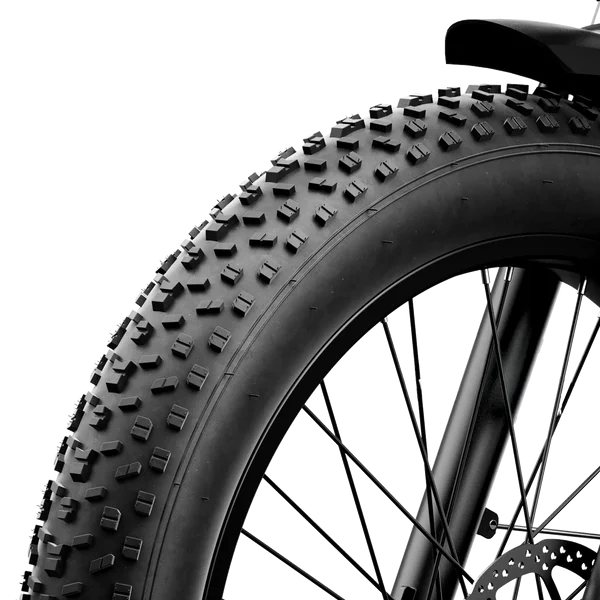 Aipas M2 Xterrain Ebike Aipas-M2-black Baskets.