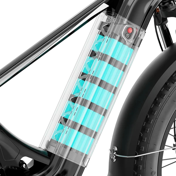 Aipas M2 Xterrain Ebike Aipas-M2-black Baskets.
