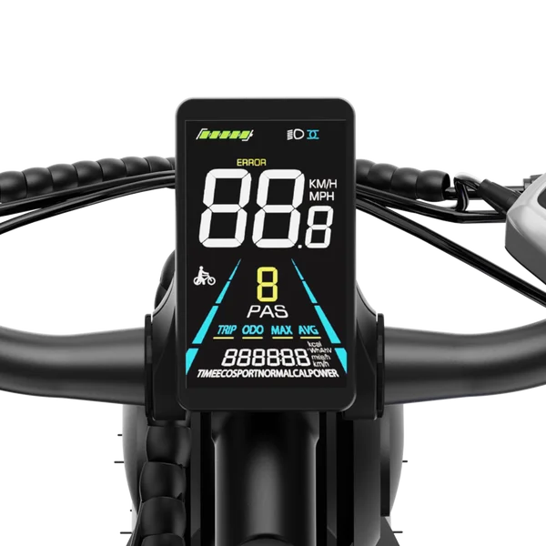 Aipas M2 Xterrain Ebike Aipas-M2-black Baskets.