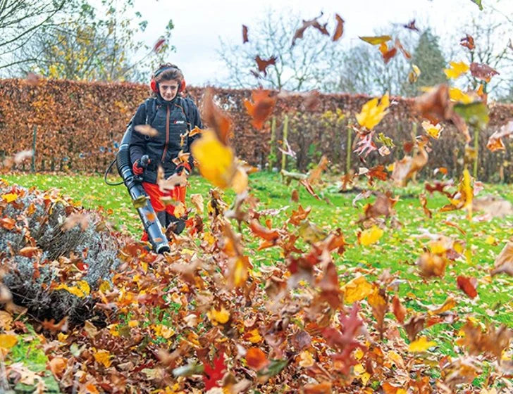 Echo PB-7910T Backpacks Leaf Blower