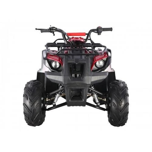 Tao Motors D125 Kids ATVs