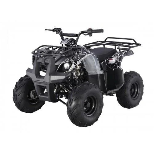 Tao Motors D125 Kids ATVs